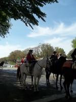 /album/espagnolenaction/a100-1557-jpg/