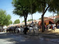 /album/espagnolenaction/a100-1556-jpg/