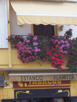 /album/espagnolenaction/a100-0960-jpg/