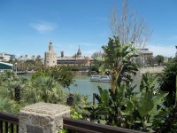 /album/espagnolenaction/a100-1506-jpg/