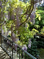 /album/espagnolenaction/a100-1044-jpg/