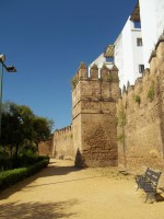 /album/espagnolenaction/a100-1015-jpg/