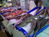 /album/espagnolenaction/a100-1595-jpg/