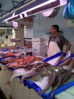 /album/espagnolenaction/a100-1596-jpg/